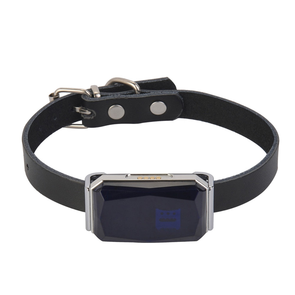 Pet Anti Lost Smart GPS Tracker Collar