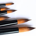 6 Pcs Painting Craft Artist Paint Brushes Set