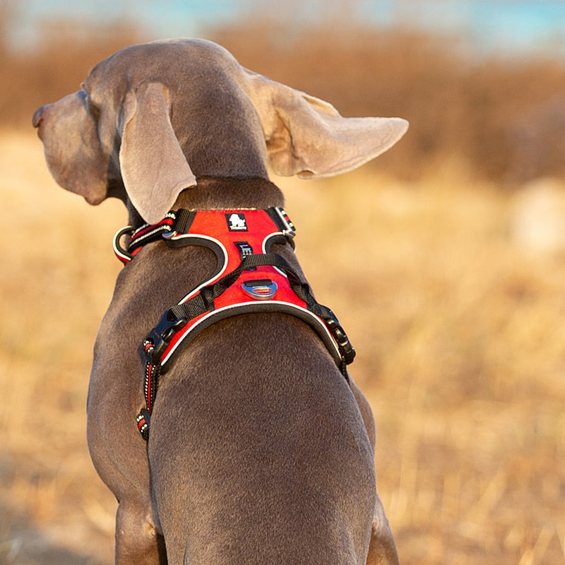 Pet Reflective Dog Harness No Pull Adjustable Safety Vest