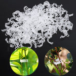 50/100/200 Pcs Plastic Plant Support Clips