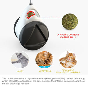 Cats Kitten Chasing Tumbler Swing Toys for Interactive Balance With Catnip