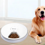 Automatic LCD Screen Timer Food Dispenser Pet Feeders With Voice Record