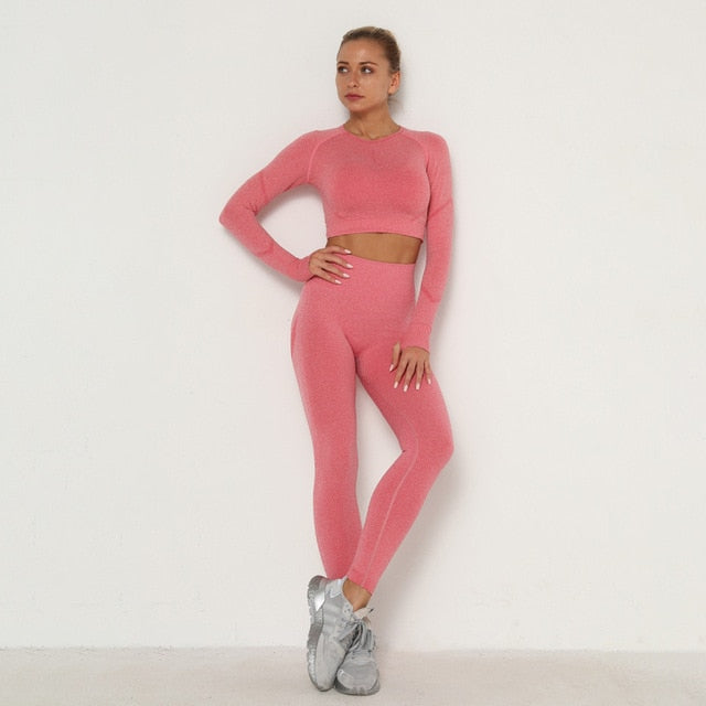 Seamless Women Long Sleeve Top High Waist Belly Control Leggings Sport Set