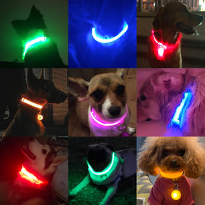 USB Charging LED Anti-Lost/Avoid Car Accident Collar For Dogs