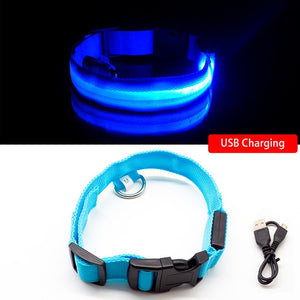 USB Charging LED Anti-Lost/Avoid Car Accident Collar For Dogs