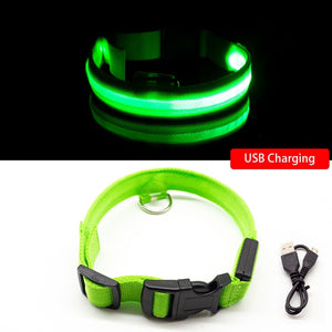 USB Charging LED Anti-Lost/Avoid Car Accident Collar For Dogs