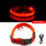 USB Charging LED Anti-Lost/Avoid Car Accident Collar For Dogs