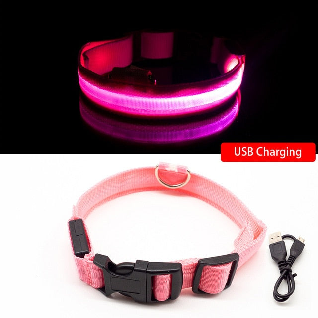 USB Charging LED Anti-Lost/Avoid Car Accident Collar For Dogs