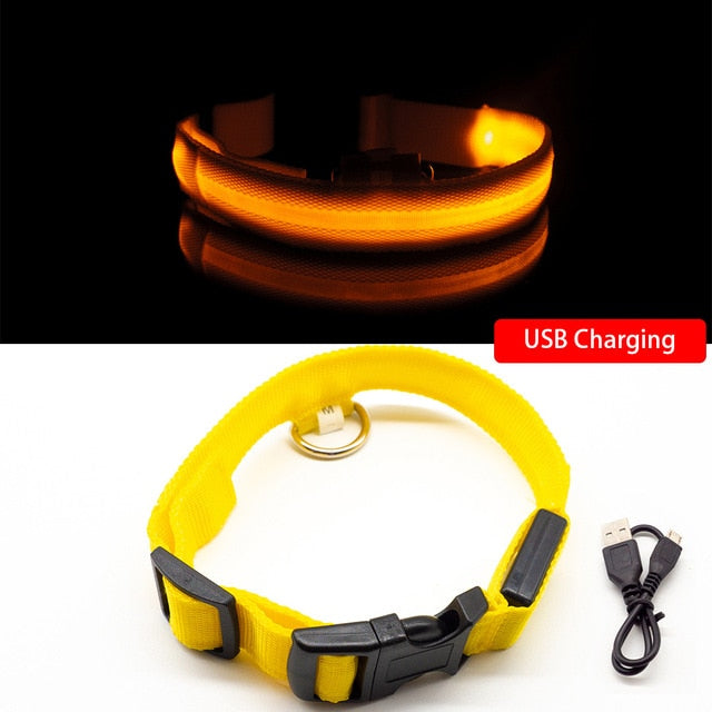 USB Charging LED Anti-Lost/Avoid Car Accident Collar For Dogs