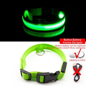 USB Charging LED Anti-Lost/Avoid Car Accident Collar For Dogs