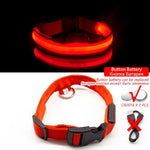 USB Charging LED Anti-Lost/Avoid Car Accident Collar For Dogs