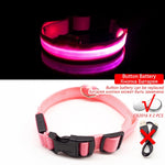 USB Charging LED Anti-Lost/Avoid Car Accident Collar For Dogs