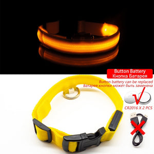 USB Charging LED Anti-Lost/Avoid Car Accident Collar For Dogs