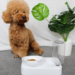 Pet Automatic Feeder Dog Cat Food Bowl with Water Dispenser