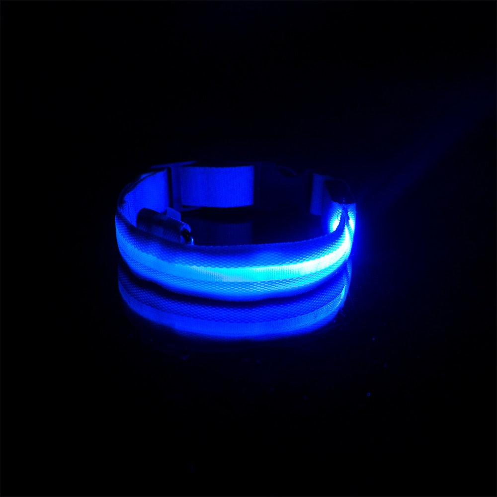 USB Charging LED Anti-Lost/Avoid Car Accident Collar For Dogs